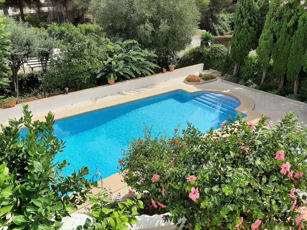 Villa Margarita - A Tranquil Oasis With Large Private Pool Γιαβέα Εξωτερικό φωτογραφία